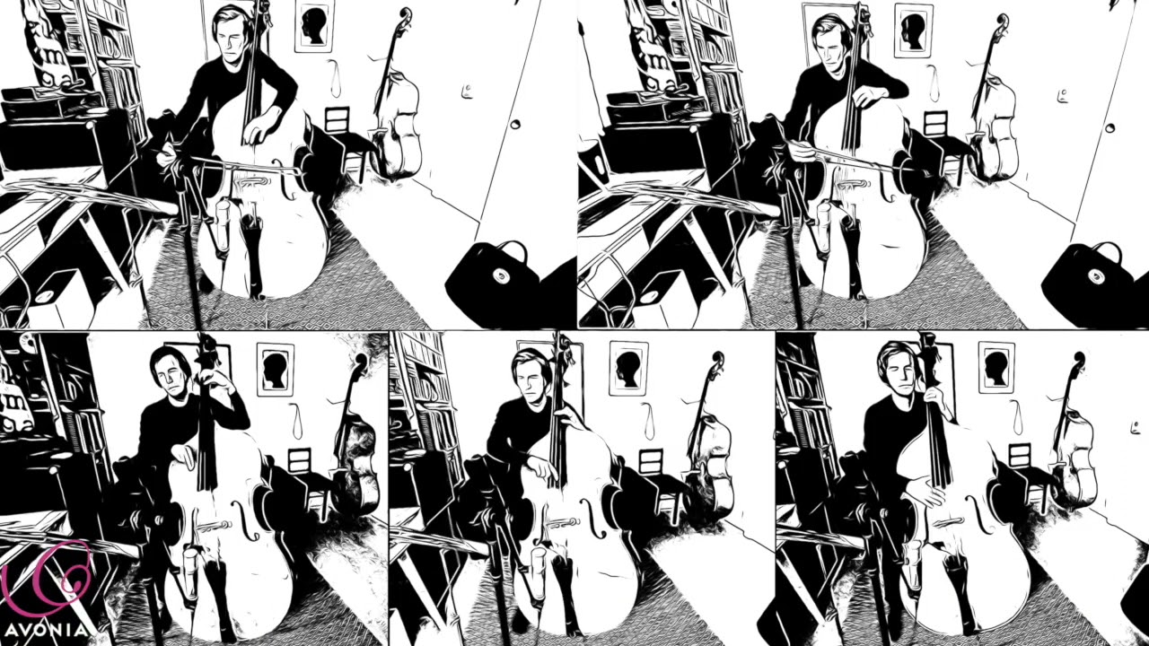 Musiikkiopisto Avonia - soitinesittelyssä kontrabasso