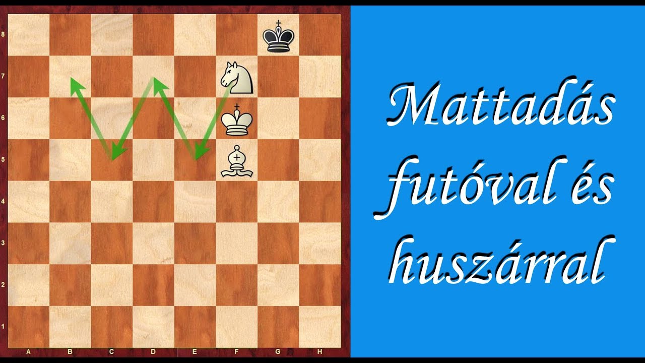 SAKKISKOLA 2.4: Mattadás futóval és huszárral