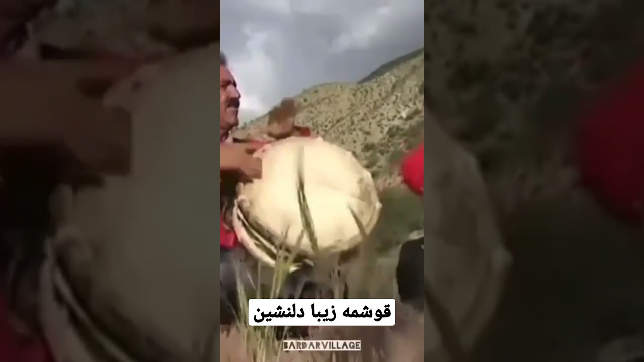 قوشمه دلنشین باور کنید این صدا آرامش دهنده روح و روانه