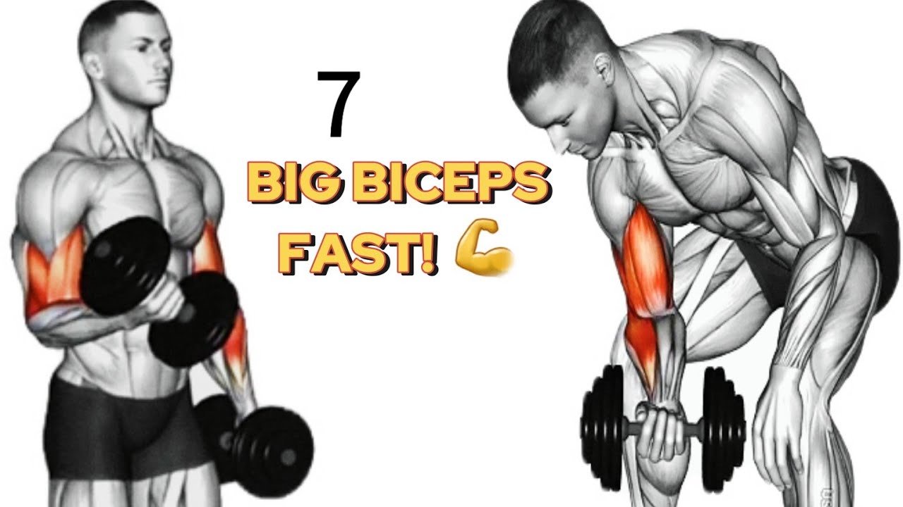 7 Best Biceps Exercises for Bigger & Stronger Arms | Ultimate Biceps Workout 