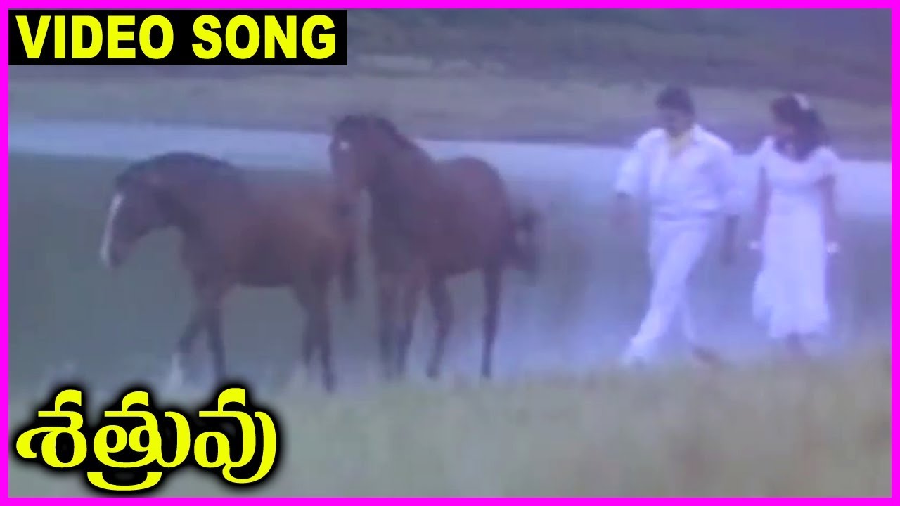 Sathruvu - Telugu Super Hit Video Song -  Venkatesh, Vijayashanthi