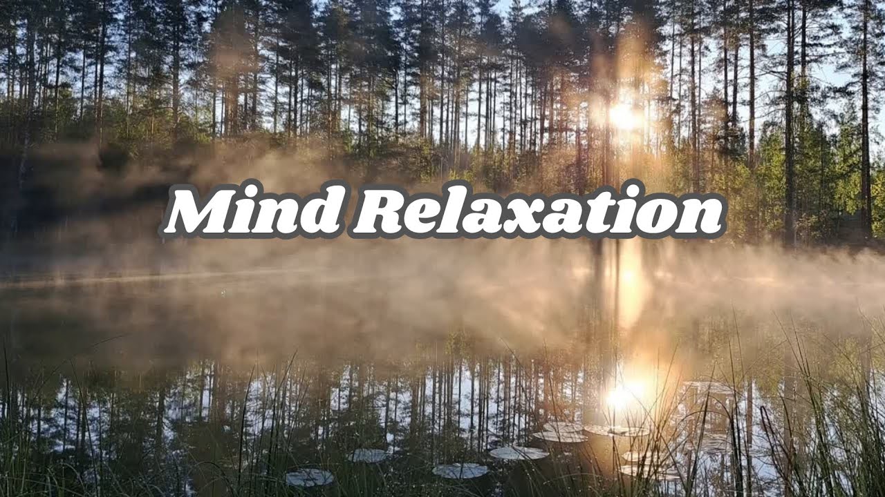 1 Hour Deep Sleep Healing Meditation Music 🌿 Calm Your Mind
