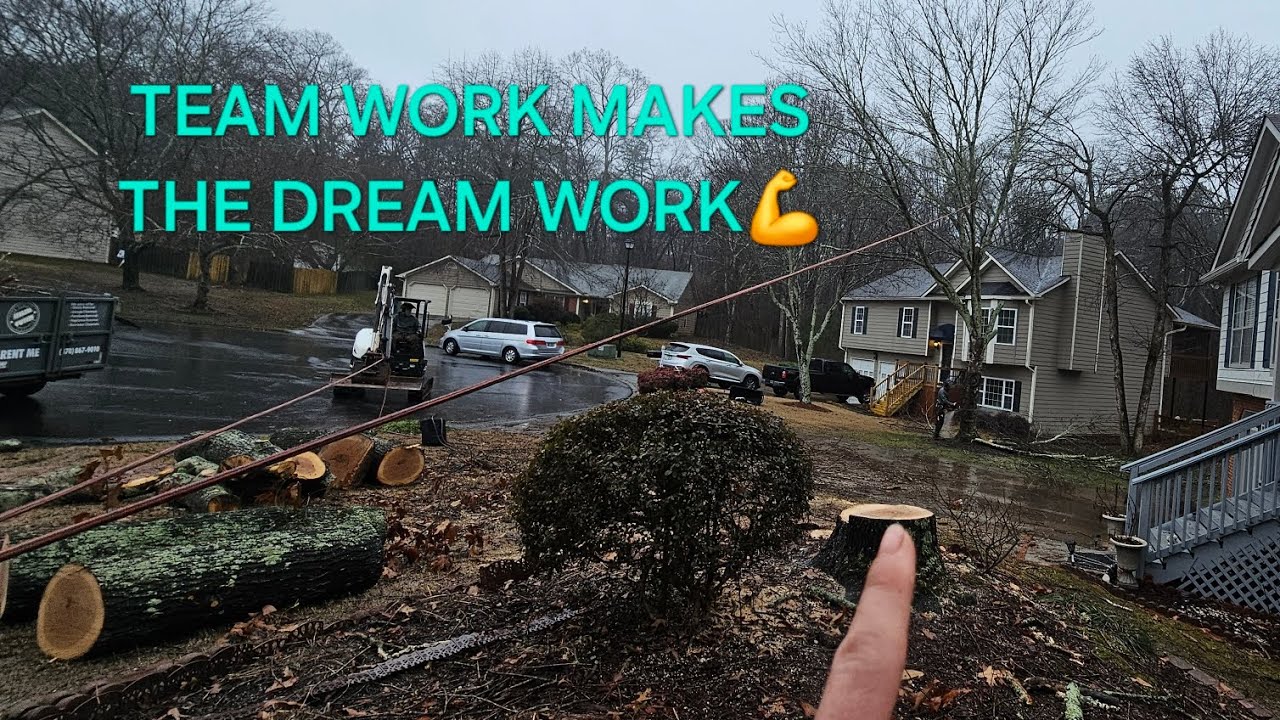JUNK REMOVAL COMPANY TEAMS UP WITH A TREE COMPANY TO SURVIVE THIS SLOW WINTER