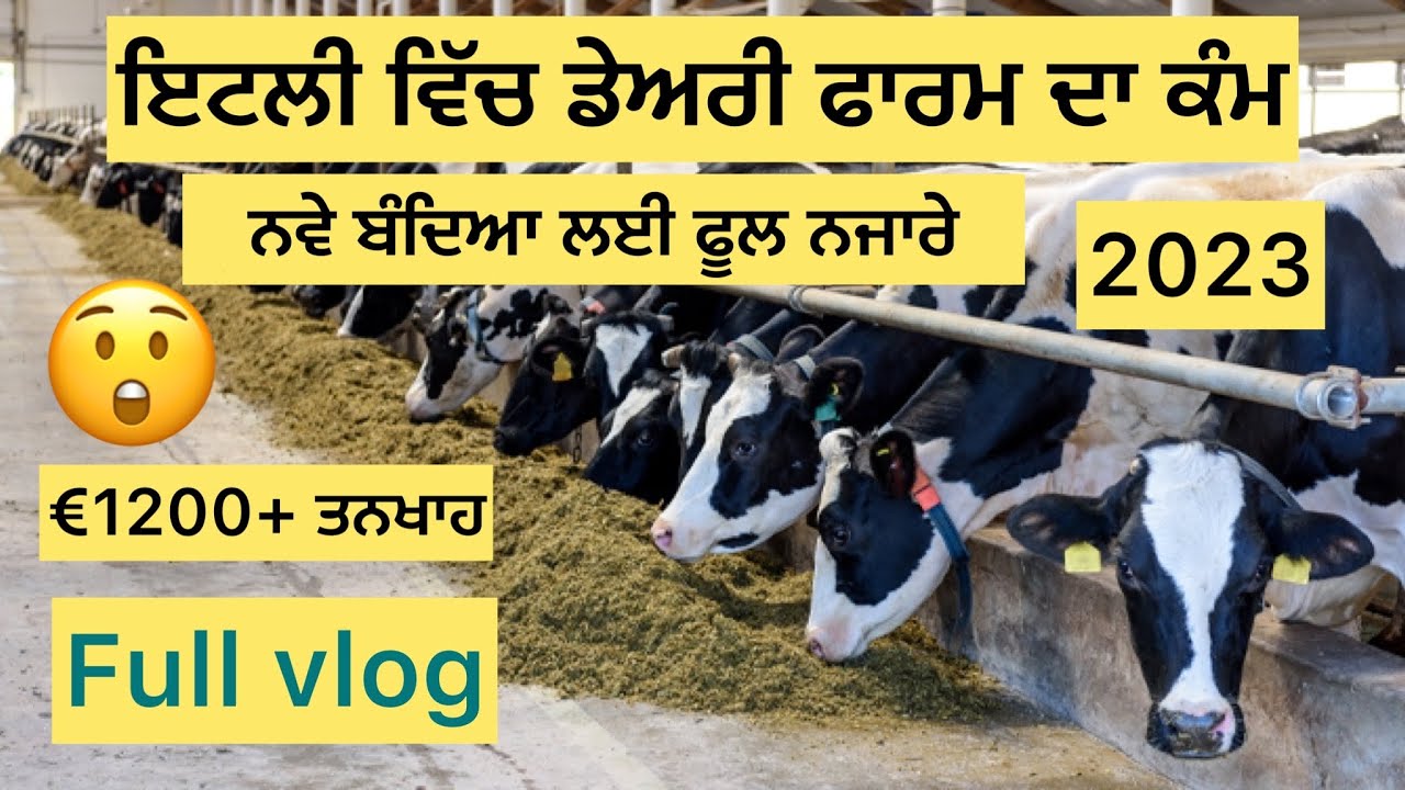 Farm Work in Italy || ਨਵੇ ਬੰਦਿਆ ਲਈ ਖੁਸ਼ਖਬਰੀ ॥ Europe de Njare ॥ latest information 2023 .