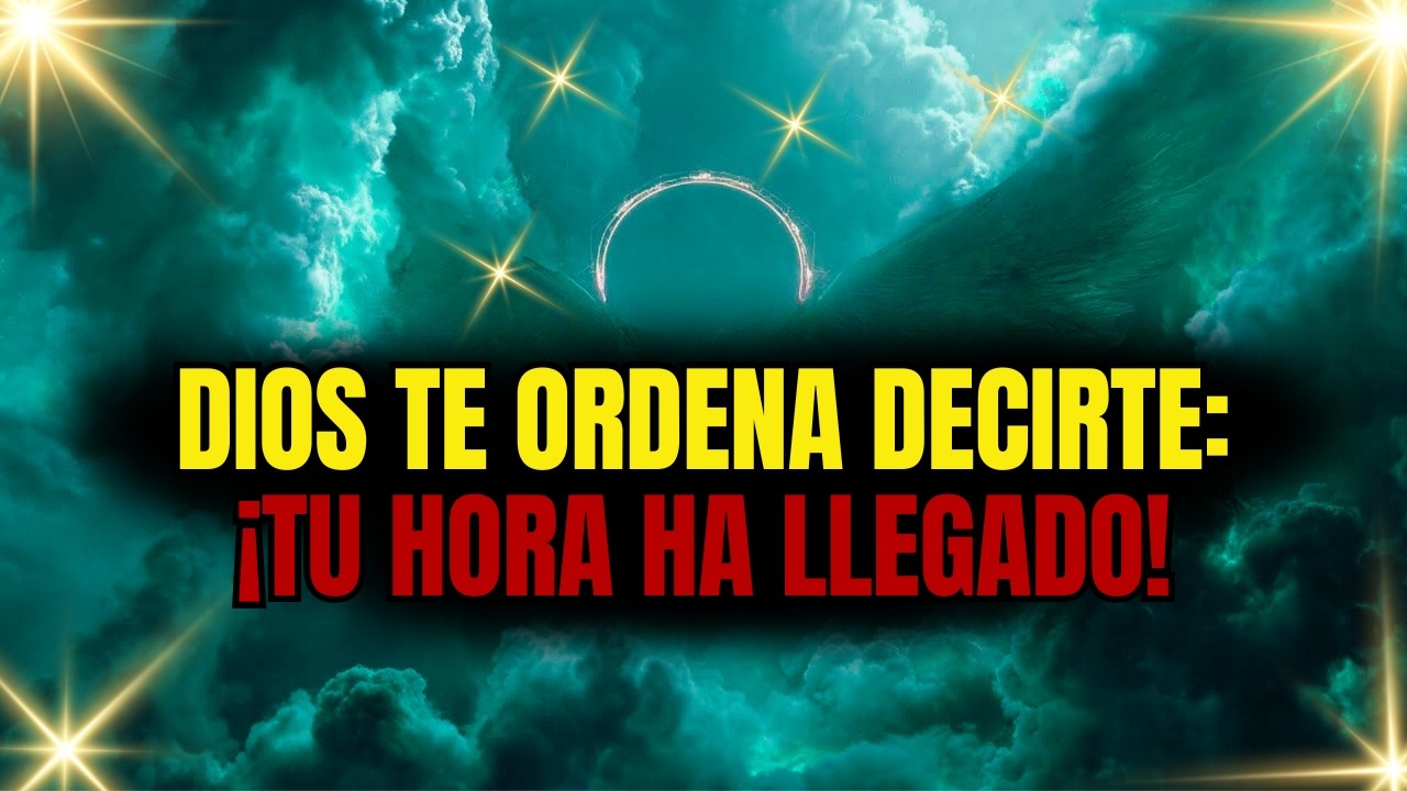 ELEGIDO, DIOS TE ORDENA DECIRTE: míralo solo, ahora mismo