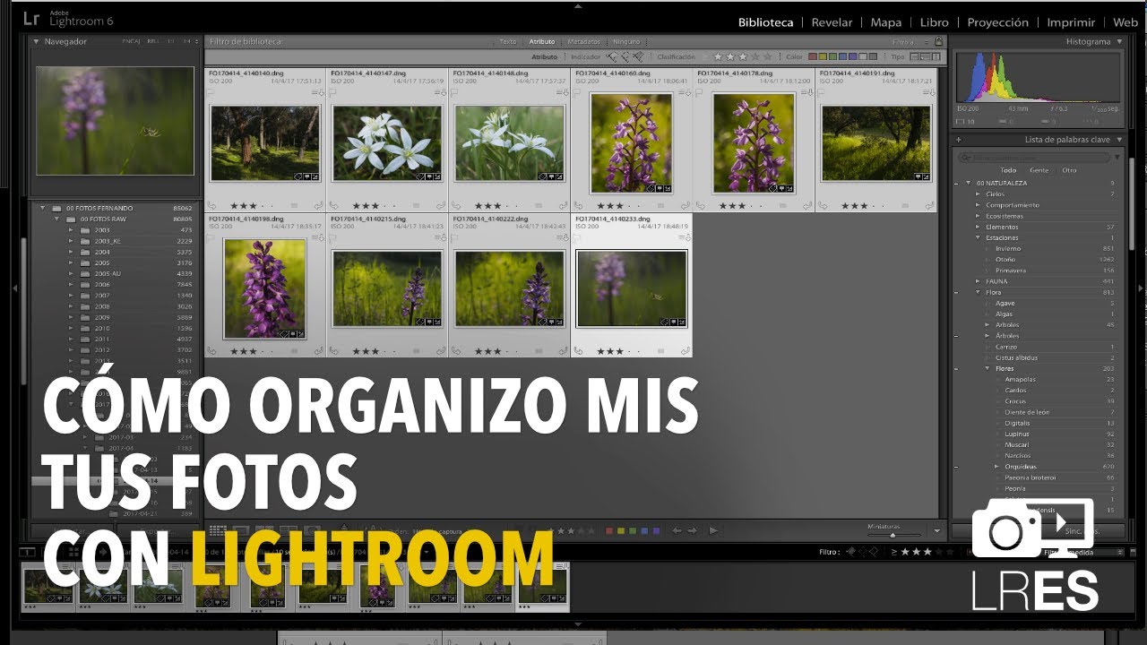 Tutorial Cómo organizo mis fotos con el Módulo de Biblioteca de Lightroom