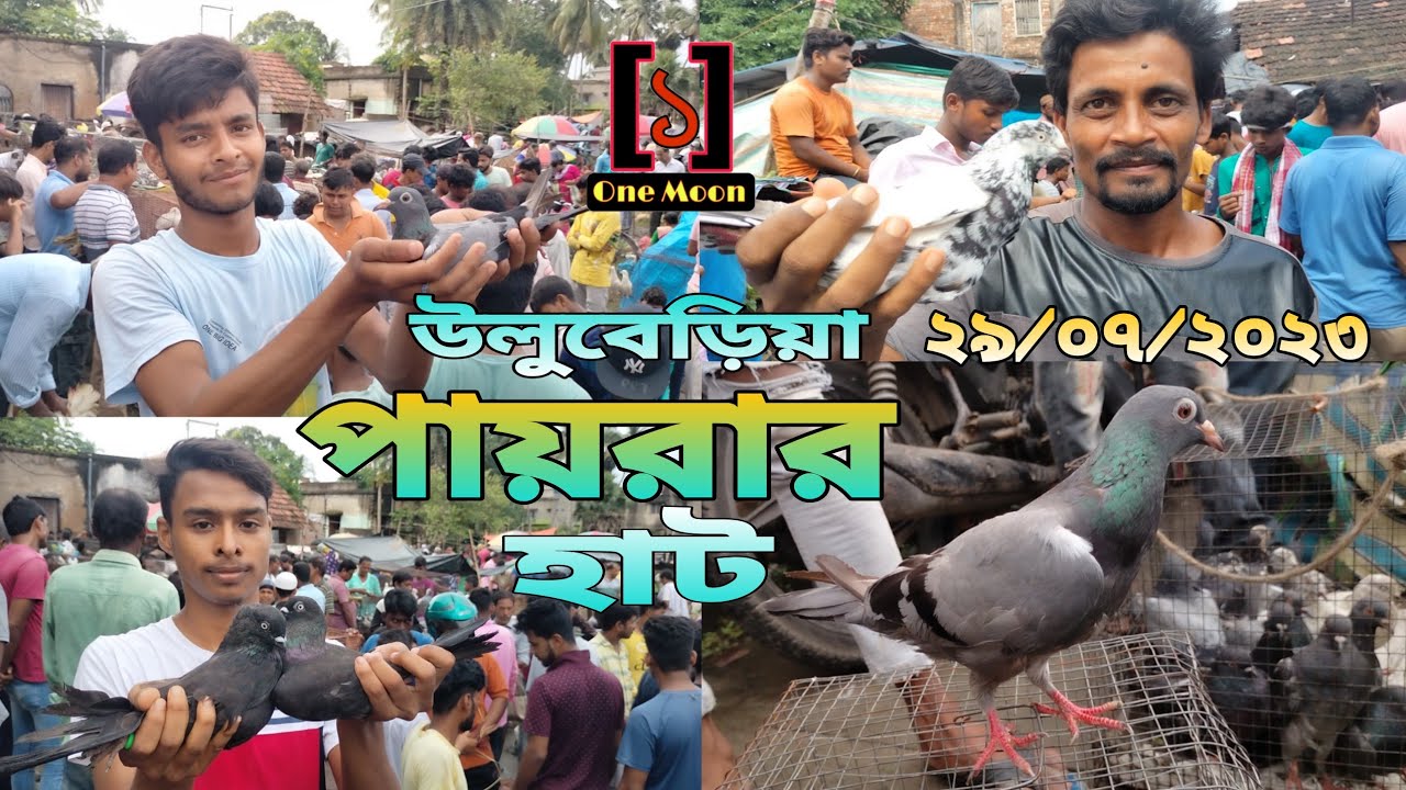Uluberia pet market | Current Exotic Pigeon's Price Update at Uluberia 29/07/2023 Visit | One Moon