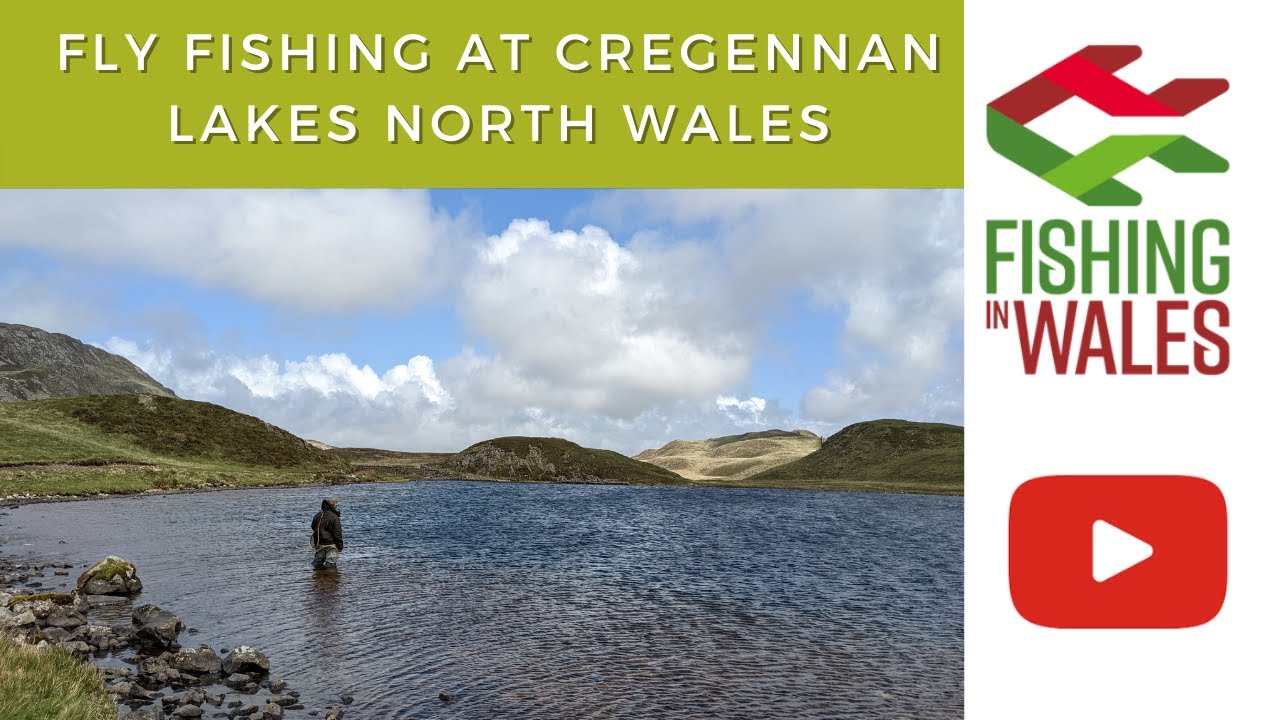Fly Fishing At Cregennan Lakes North Wales for rainbow and wild brown trout