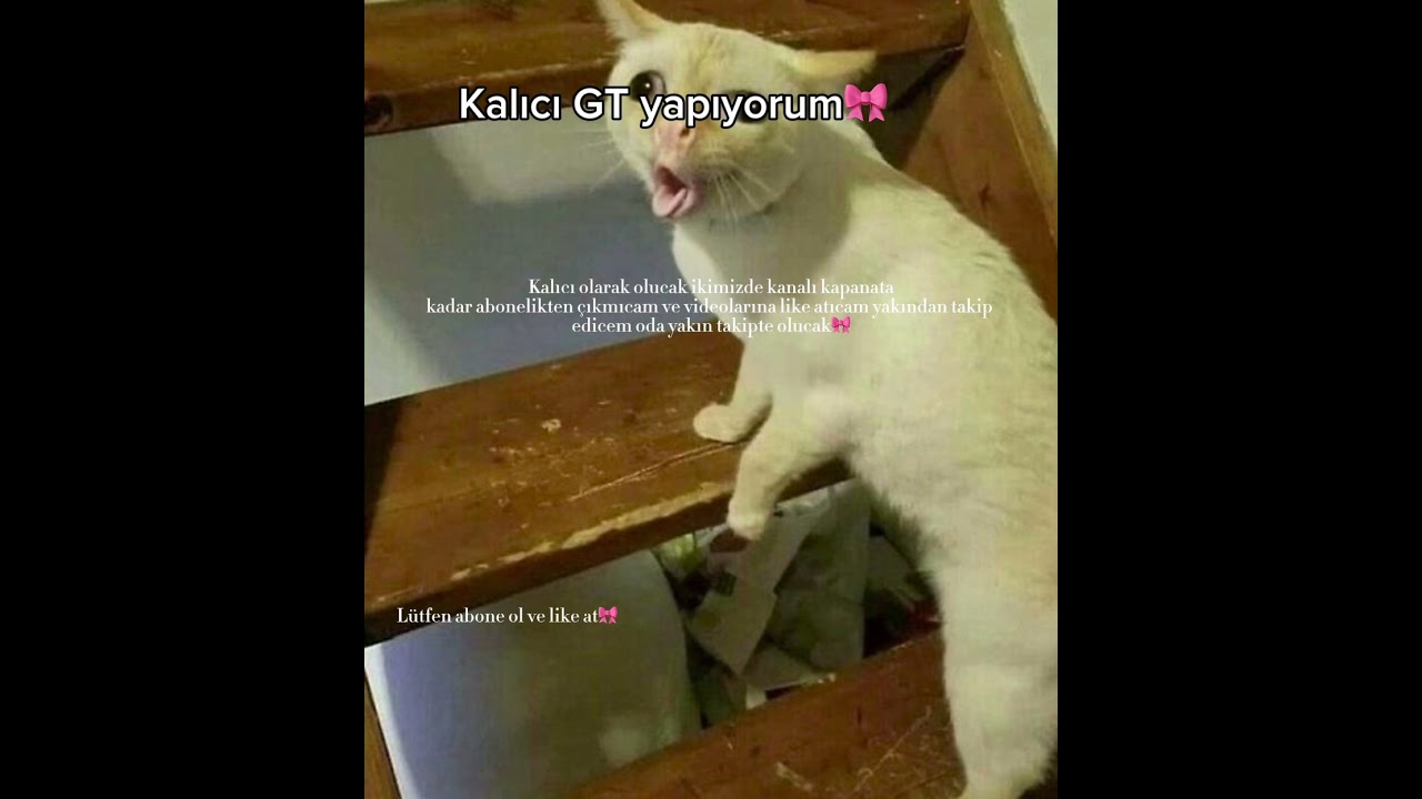 #beni&ouml;ne&ccedil;ıkart #keşfetbeni&ouml;ne&ccedil;ıkar #keşfetteyiz #shine #yenikanal