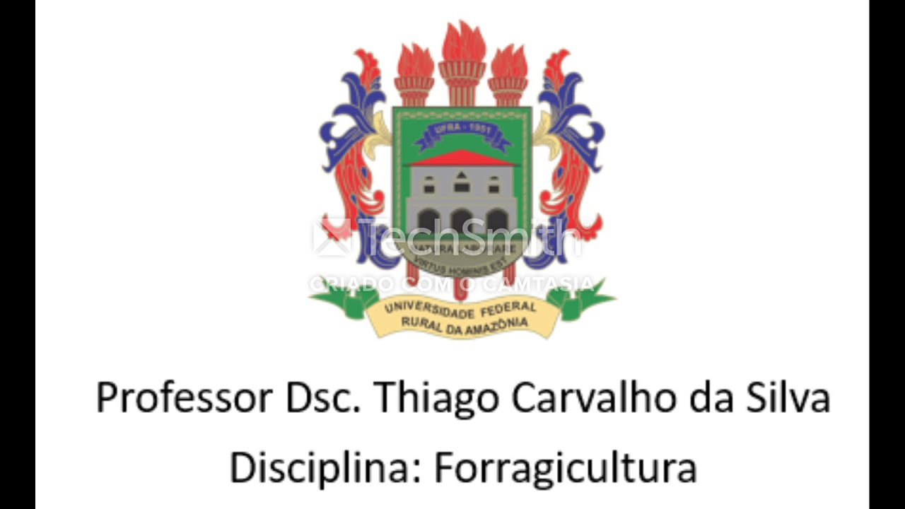 Morfologia de Plantas Forrageiras