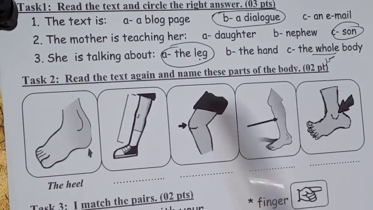 الفرض الثاني في الانجليزية للفصل الثاني حول الصحة للثانية متوسط