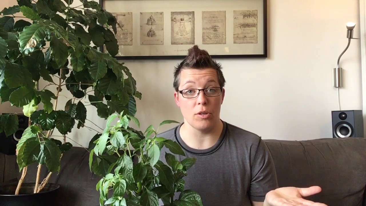 Chiliskolan del 29 - hemma hos Ellen - det här har hänt med chilin som fått byta plats !
