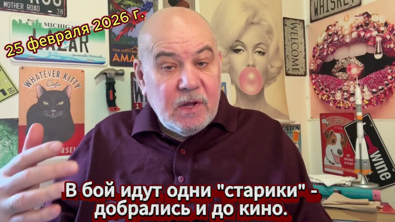 В бой идут одни 