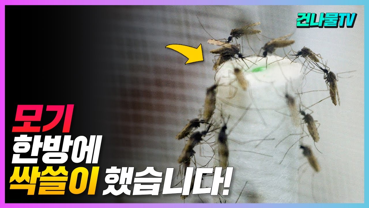 모기 퇴치 이 방법으로 한방에 싹쓸이 했습니다~