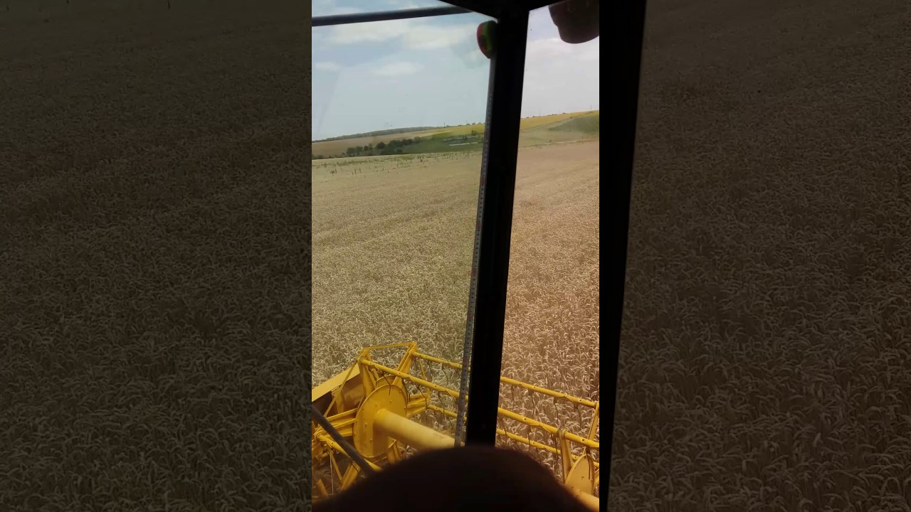 New Holland TF42