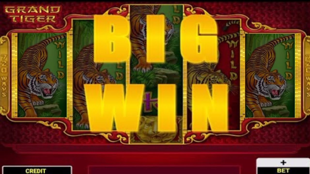 GRAND TIGER CASINO BIG WIN 🤑 /AND CRAZY TIME IN *40 BONUSSPINS 🔥🔥