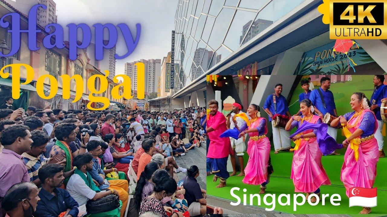 Singapore Pongal festival 2023 | Dance 🌾💃 | Mattu Pongal 🎉 | Little India #pongal