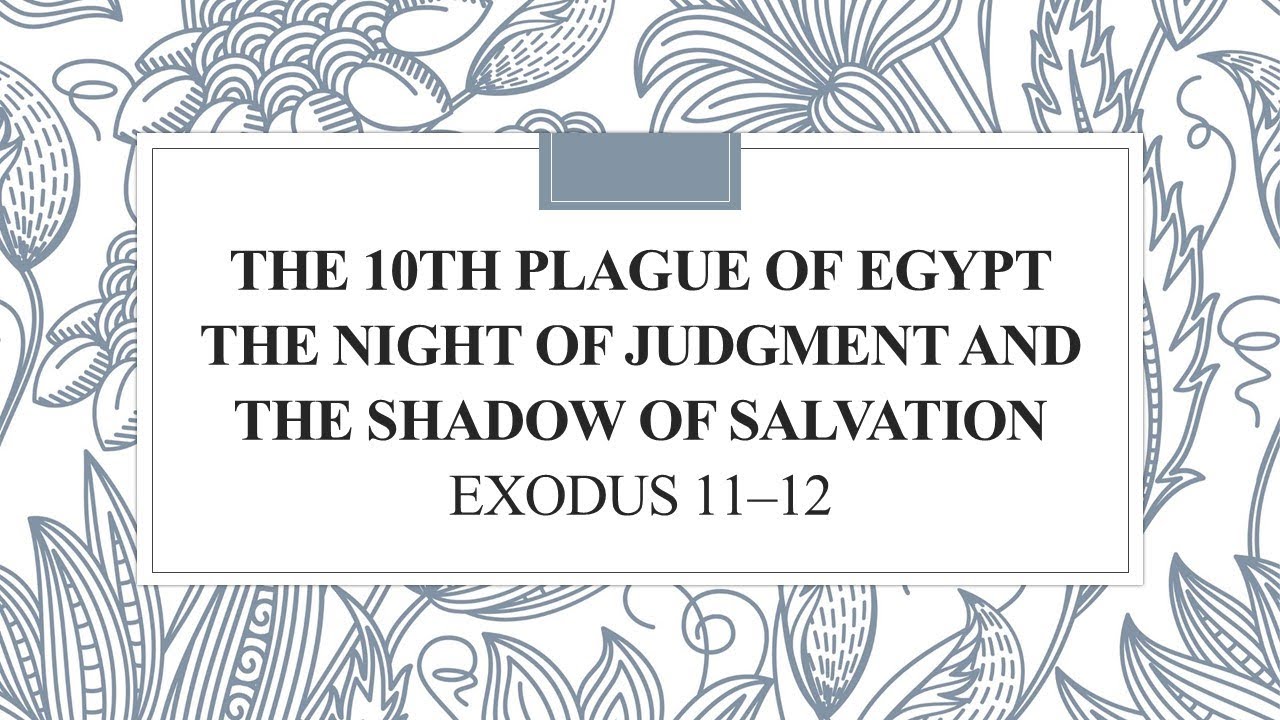 The 10th Plague of Egypt                         Exodus 11–12