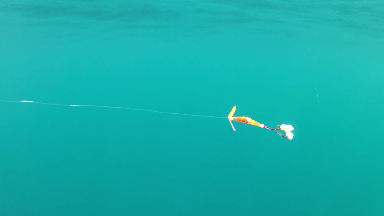 Mack's Lure | Wedding Ring® Pro | Underwater Action