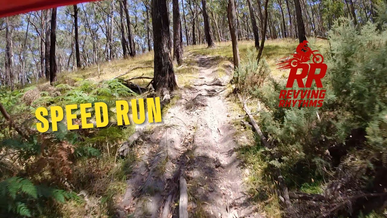Singletrack Speed Run | Tight Pines & Gullies