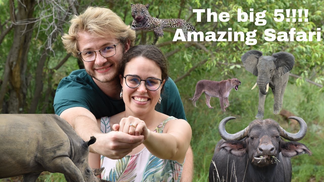 Amazing wildlife experience