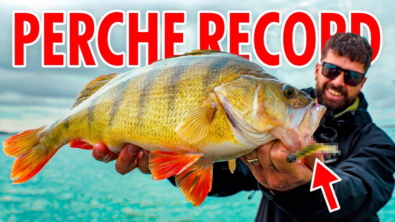 Un GUIDE de P&Ecirc;CHE me d&eacute;voile son ASTUCE pour les PERCHES RECORDS !