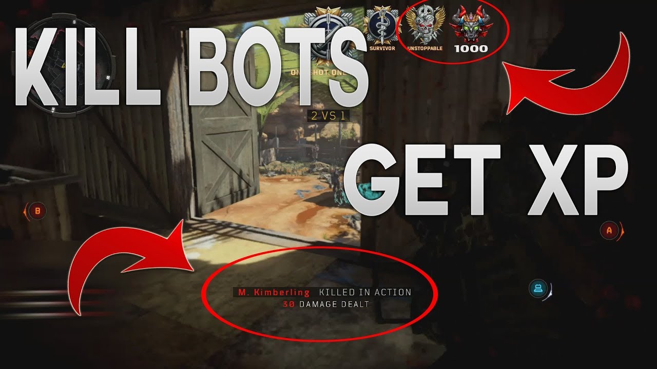 EARN XP BY KILLING BOTS - UPDATED BOT LOBBY GLITCH - Best BO4 XP Glitch
