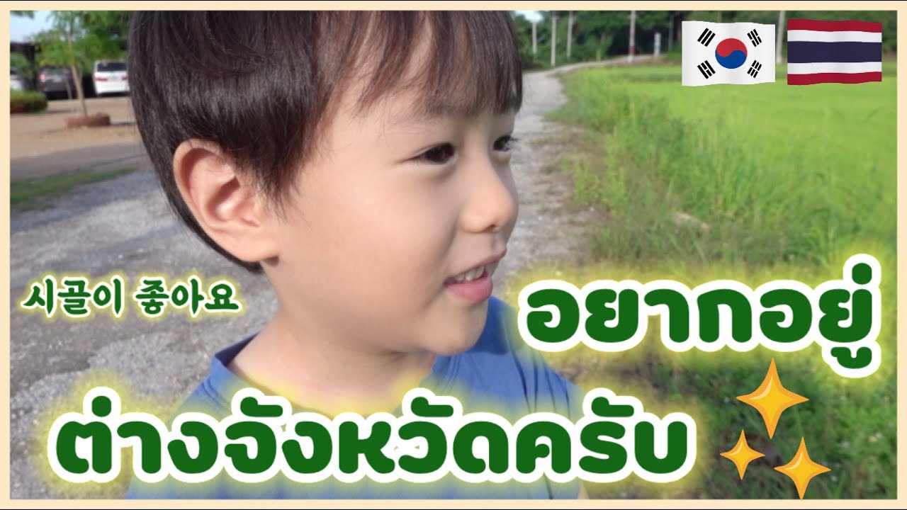 🇰🇷🇹🇭 ลูกครึ่งไทยเกาหลีอยากอยู่ต่างจังหวัด 💚 | กาญจนบุรี | 시골이 좋은 한태아이들