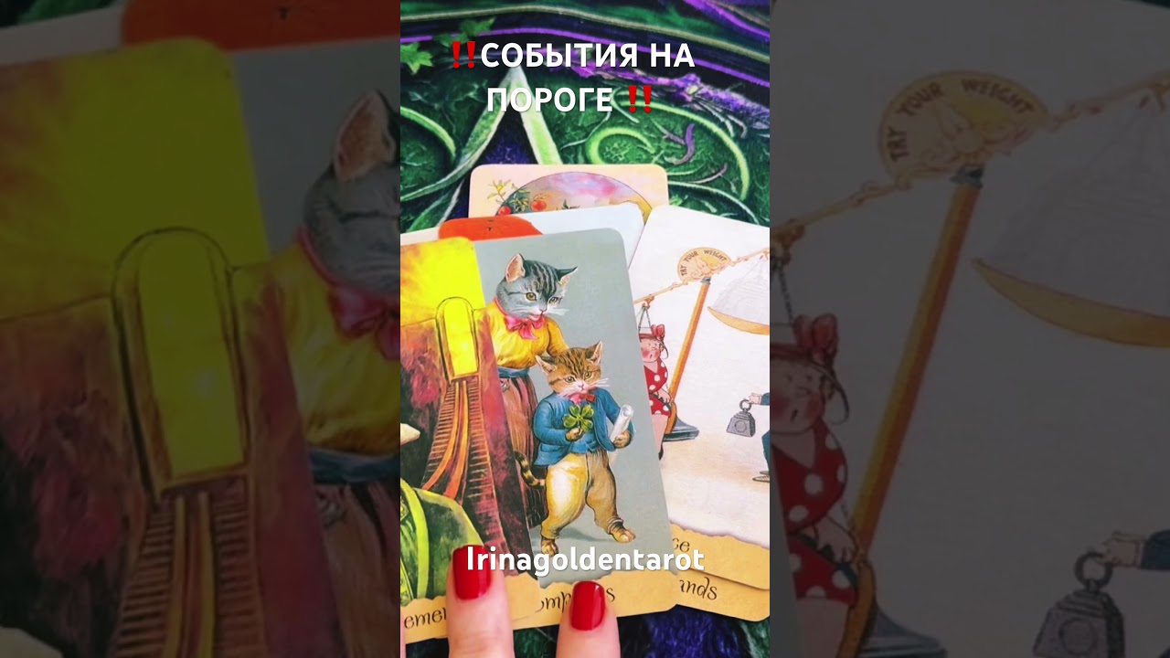 ‼️СОБЫТИЯ НА ПОРОГЕ ‼️ #таро #таро #tarot #таролог