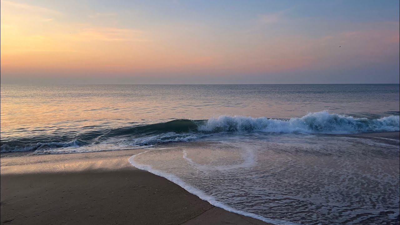 Sunrise by the Sea 🌊☀️Natural ASMR (waves + seagulls)