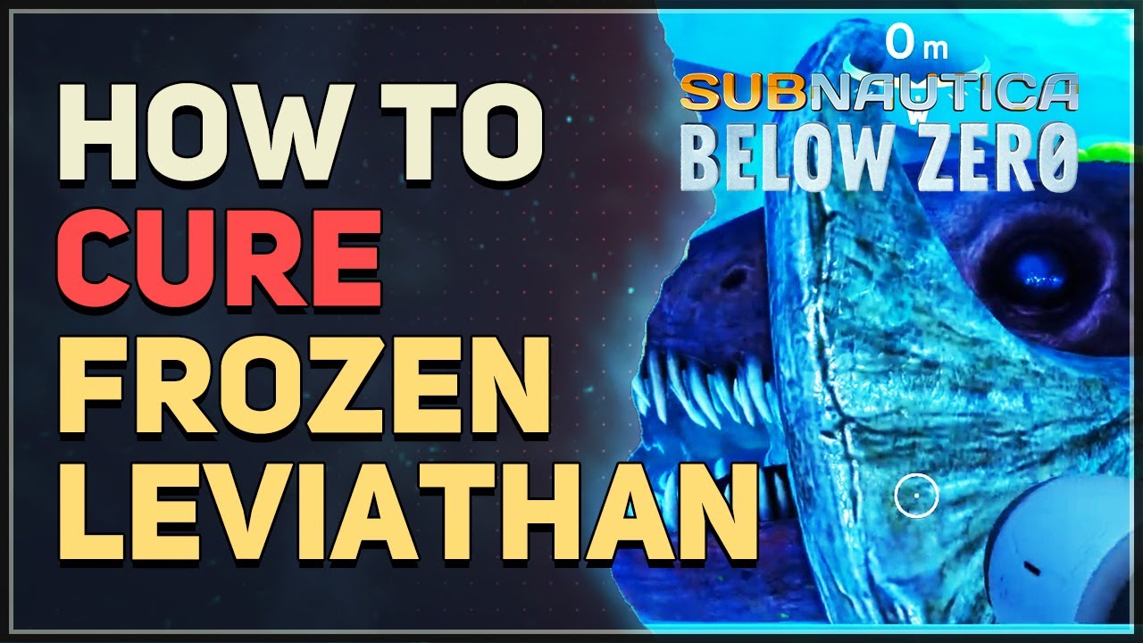How to Cure Frozen Leviathan Disease Subnautica Below Zero