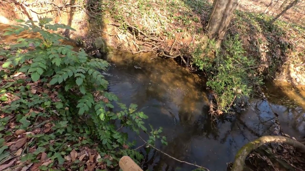 Creek fishing 🎣 