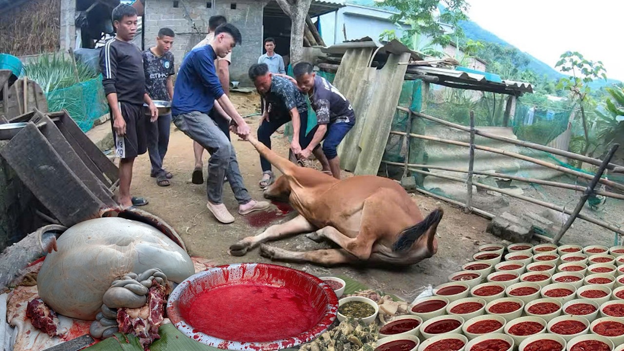 Mổ Thịt B&ograve; Rừng, Tiết Canh B&ograve; N&oacute;ng Hổi V&agrave; M&oacute;n Thịt T&aacute;i Sống Cực Đỉnh - Ẩm Thực V&ugrave;ng Cao