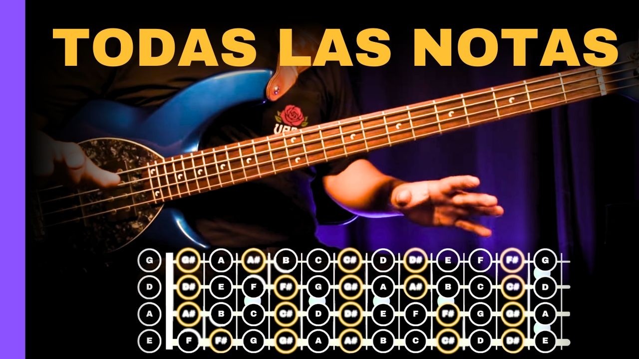 06 ¿Cómo tocar el bajo? | Aprende la escala cromática (Bemoles y Sostenidos)