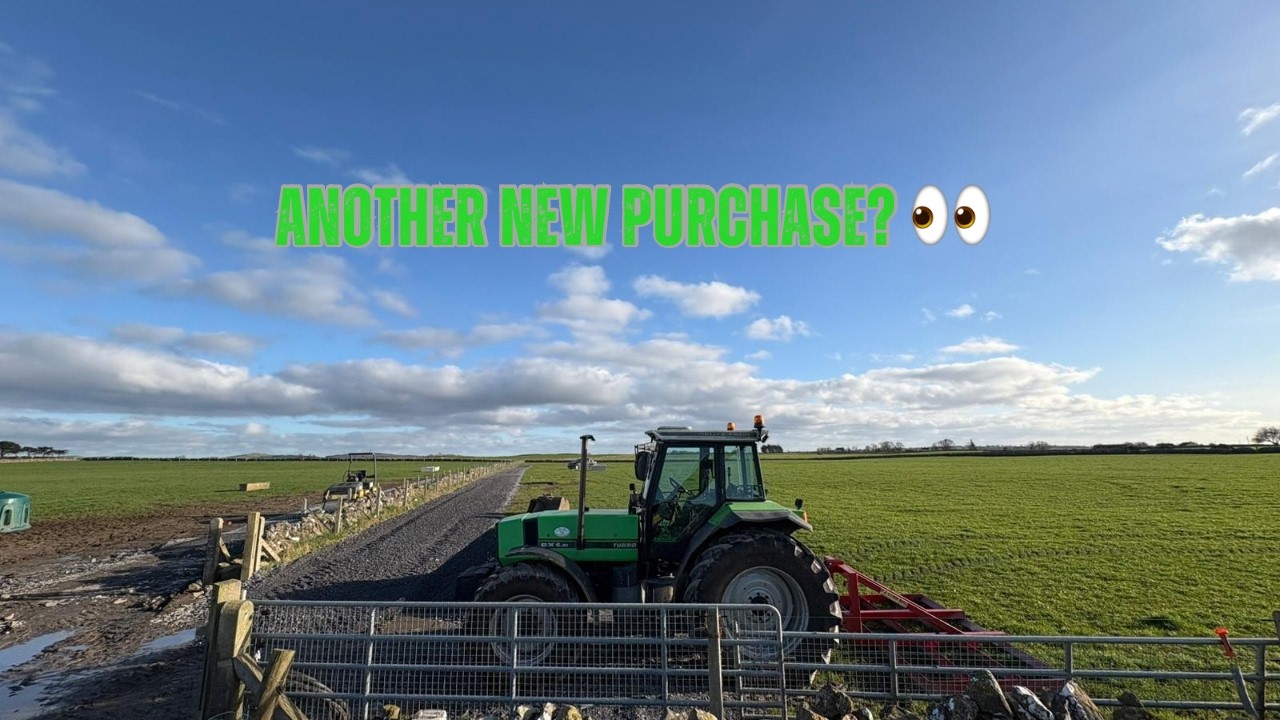 ROAD MAKING + EXCITING NEWS!