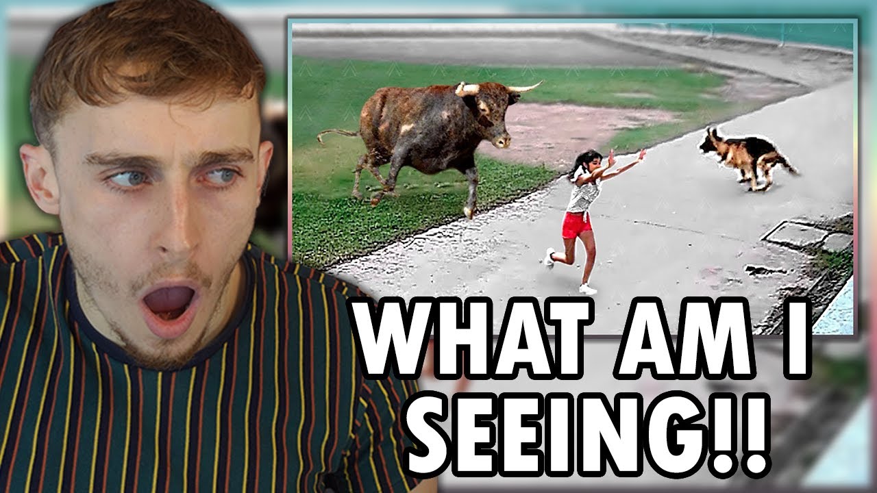 Reacting to 35 Hero Animals That Saved Human Lives !