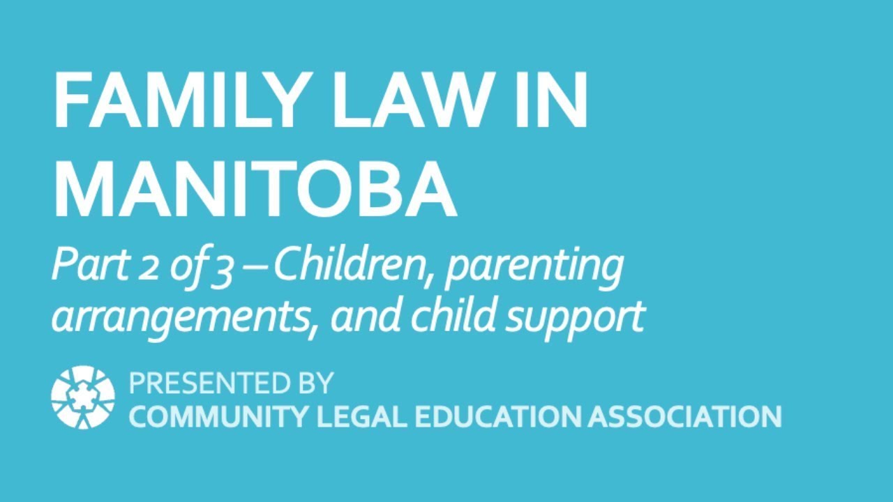 Children, Parenting Arrangements, and Child Support (Updated 2024)