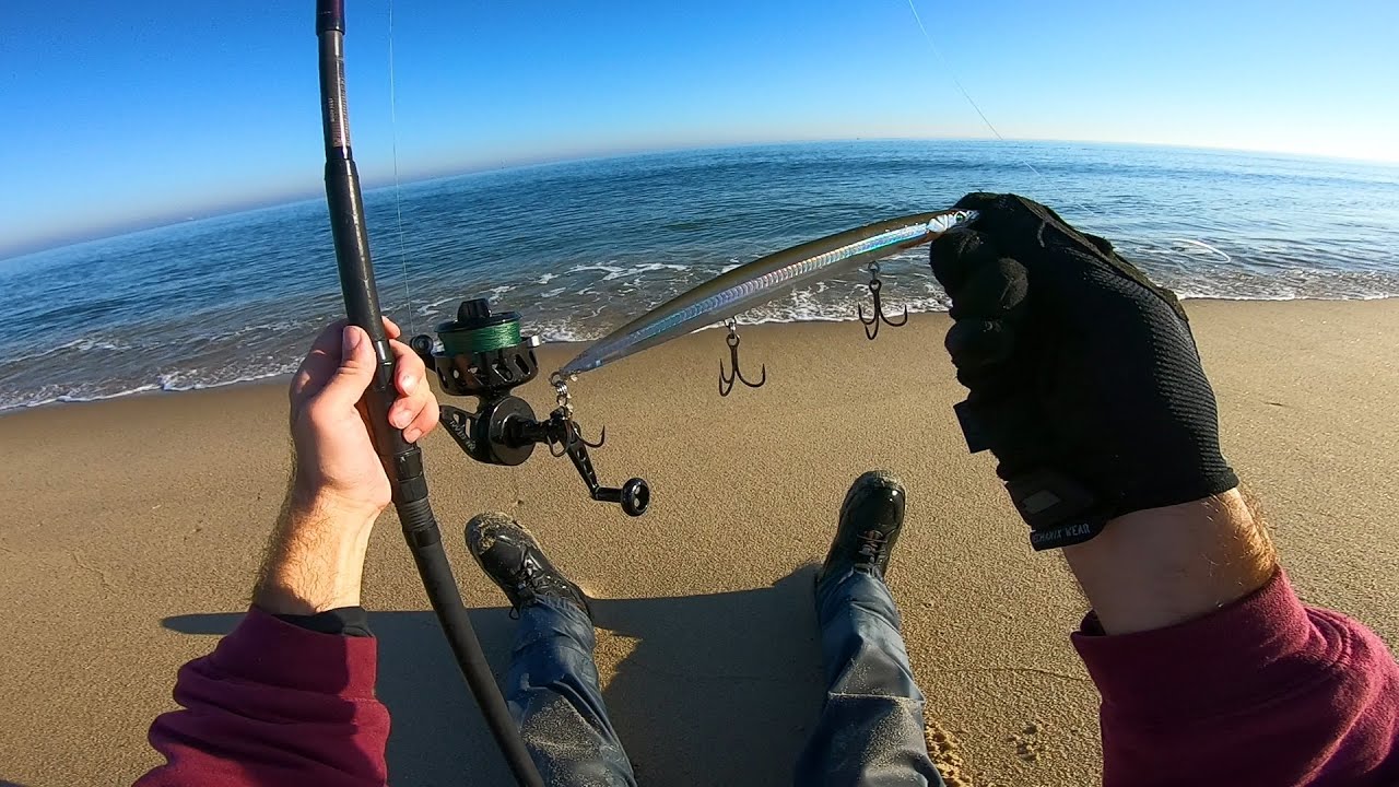 All Day Fall NJ Saltwater Fishing for Whatever Bites