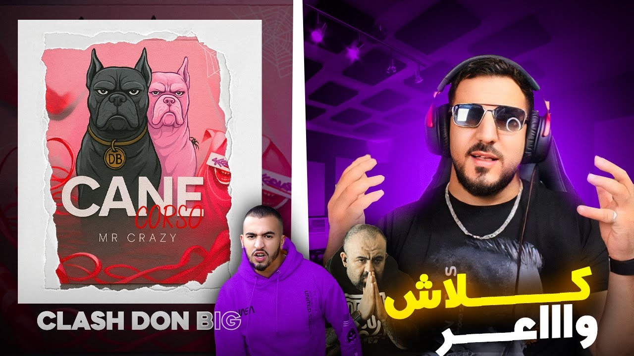 REACTIONS ✅MR CRAZY - CANE CORSO CLACH DON BIGG 🔥 عجبني صراحة