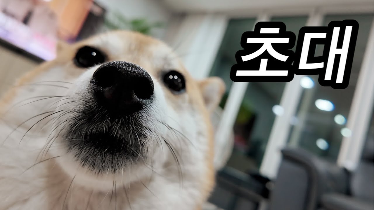클릭안하고 모해요 우리집으로 빨리 놀러오세요
