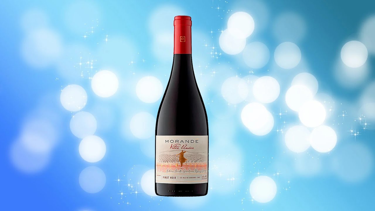 Обзор красного вина Morande Vitis Unica Pinot Noir 2023 из Чили
