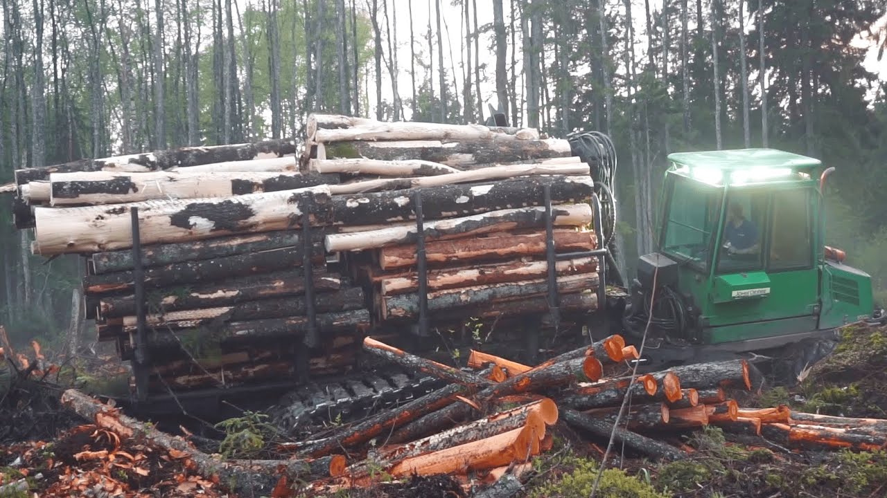 Logging in wet forest, difficult conditions, big load 2