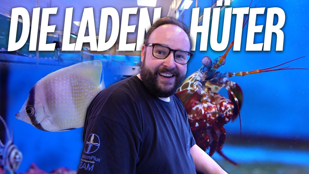 Diese FISCHE wurden noch nicht gekauft - UNSERE LADENHÜTER bei PlantkonPlus Aquaristik