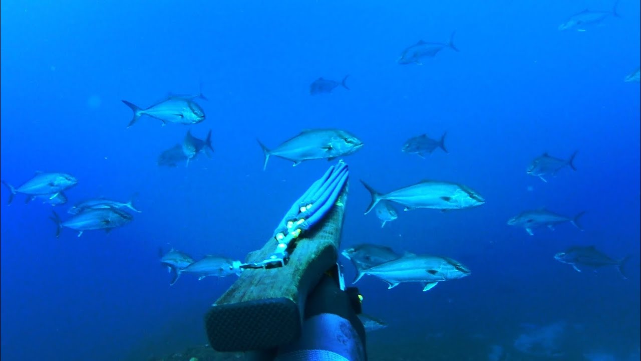 spearfishing adventures #51: Magic timing