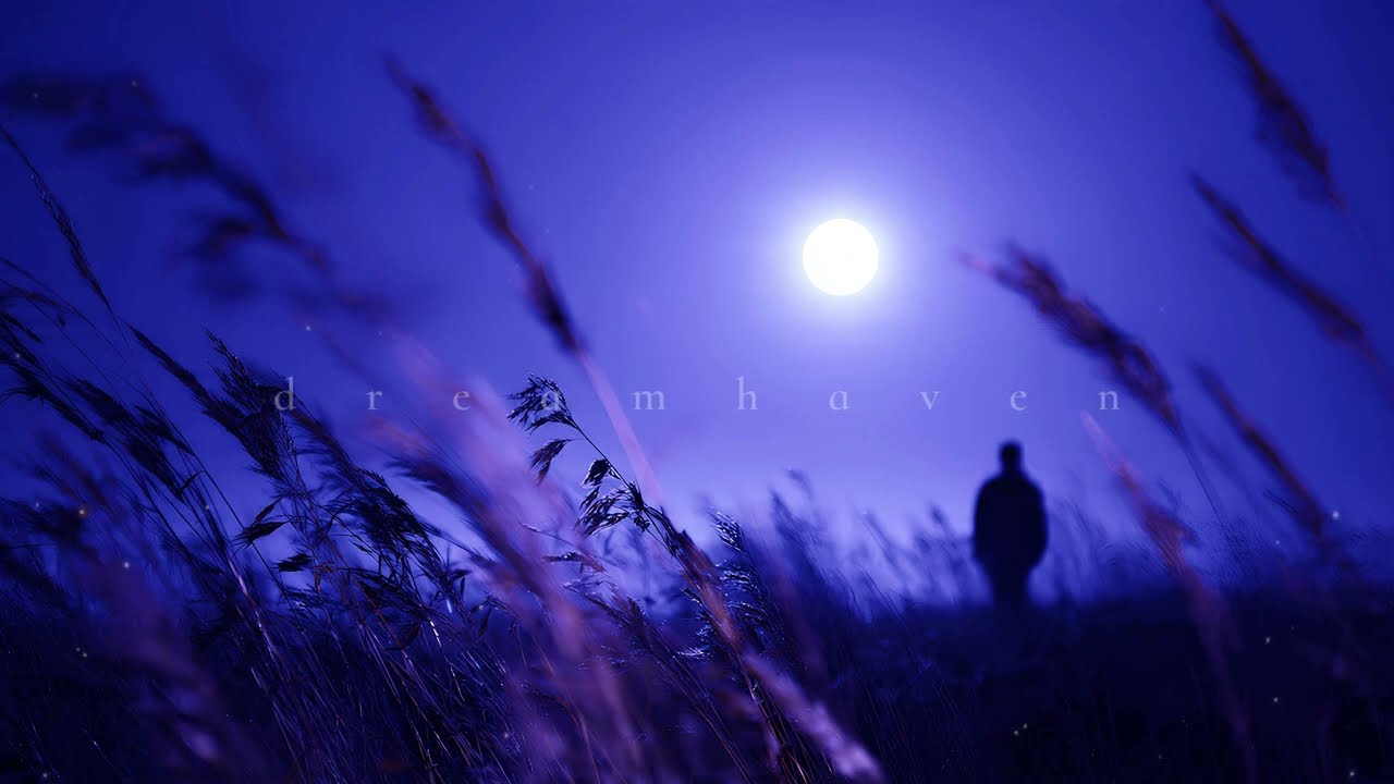 Dreamhaven – Moonlit Silent Fields 🌕 | Dark Ambient Music for Deep Sleep, Focus & Calm