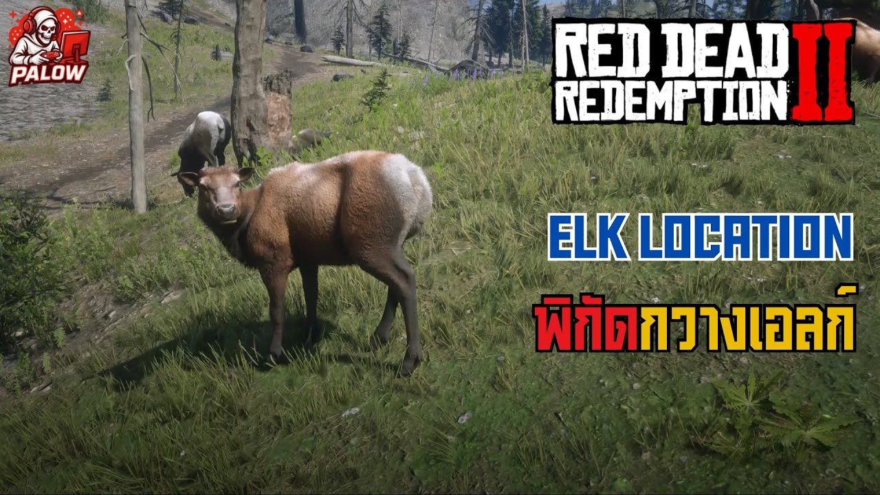 RDR2 Rocky Mountain Cow Elk Location | พิกัดกวางเอลก์เทือกเขาร็อกกี้