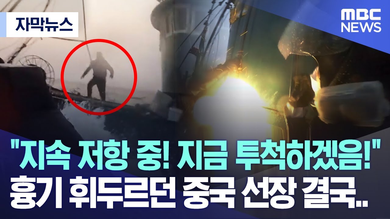 [자막뉴스] 