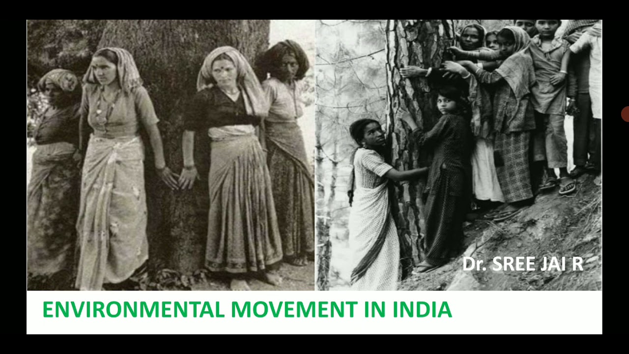 ENVIRONMENTAL MOVEMENT IN INDIA