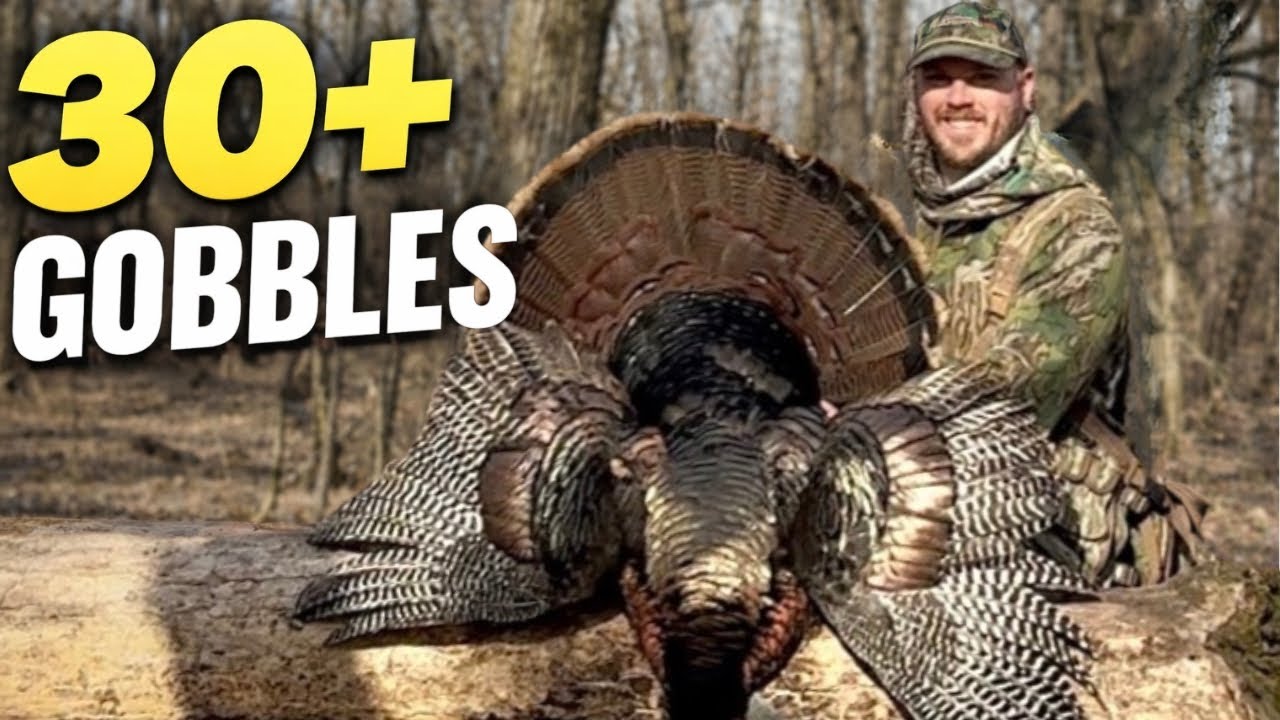 MINNESOTA TURKEY HUNTING | SUPER VOCAL LONGBEARD