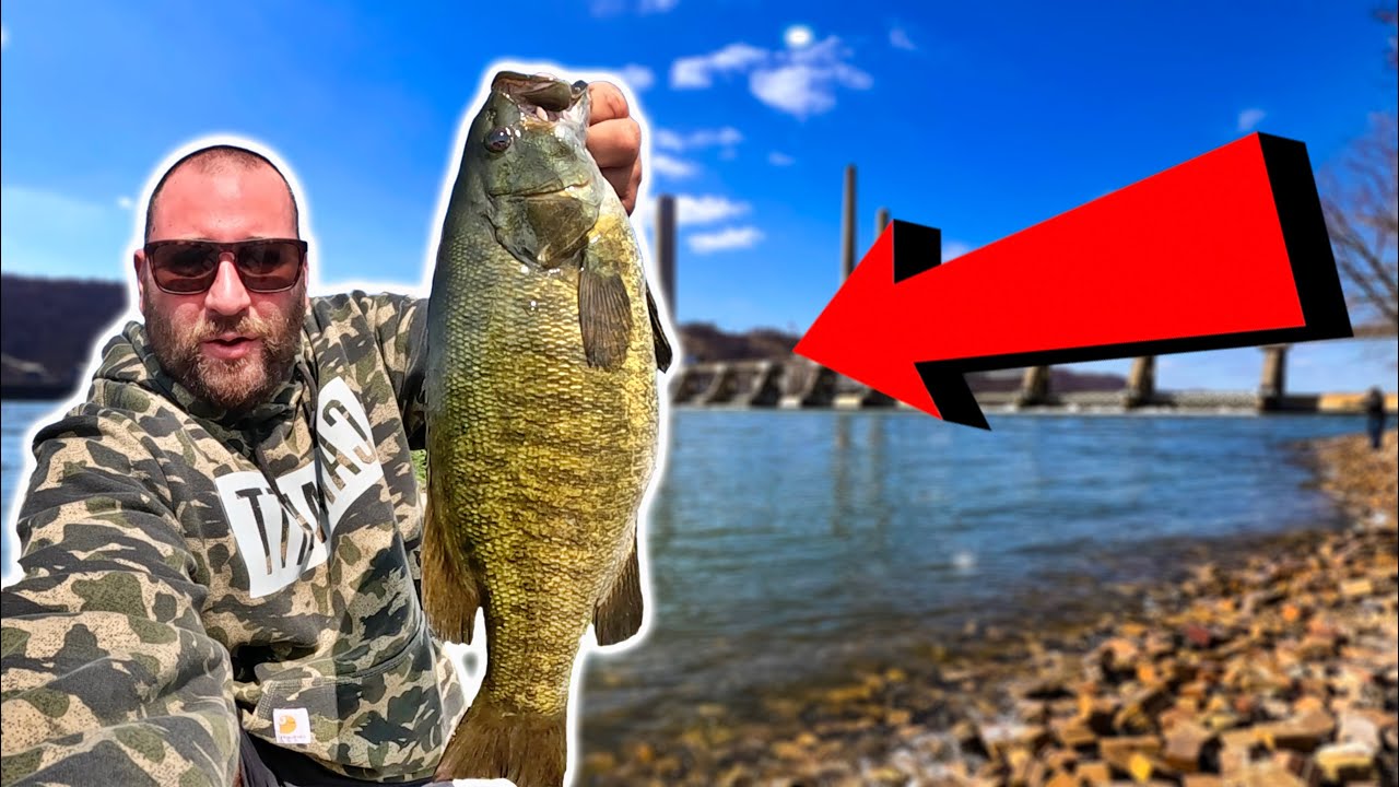 Ohio River Dam Fishing for BIG Smallmouth Bass and Walleye!